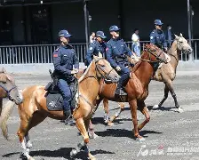 里尔训练开放日，今晨远射贴柱引欢呼，法甲在即，球队文化再被提及